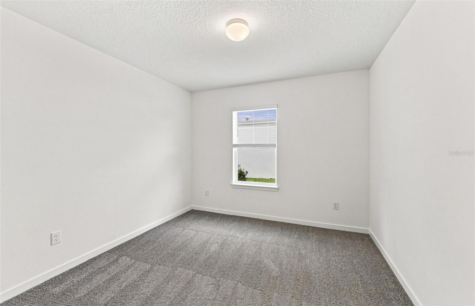 36790 KISTNA DR — photo 6