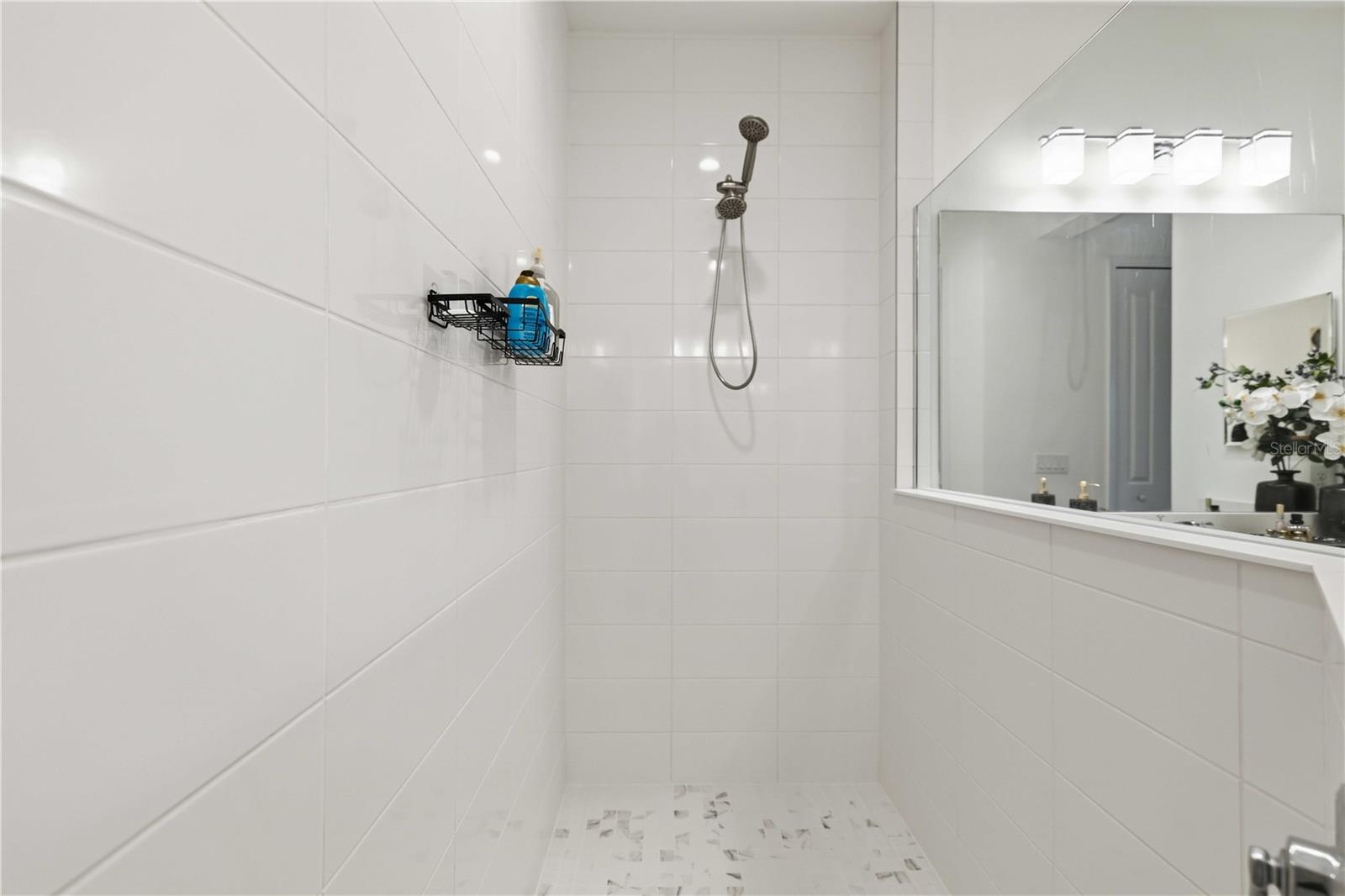 244 ALTAMURA CIR — photo 26