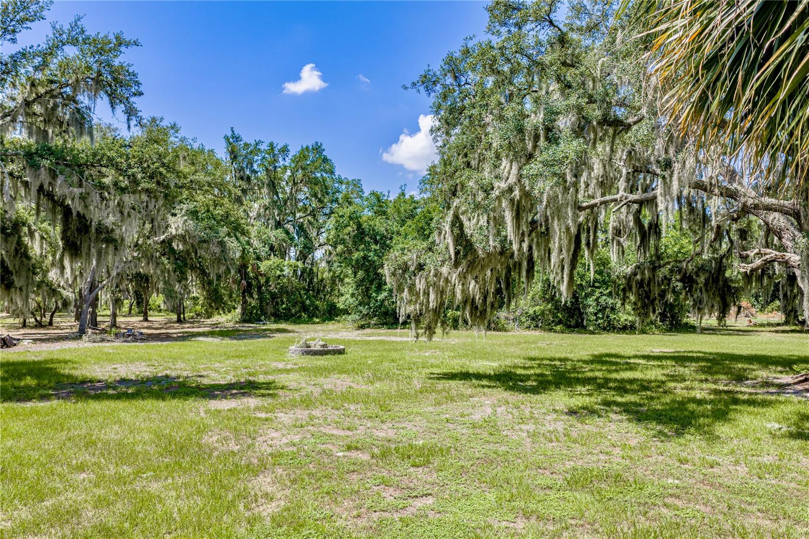 11518 HAMMOCK OAKS CT — photo 73