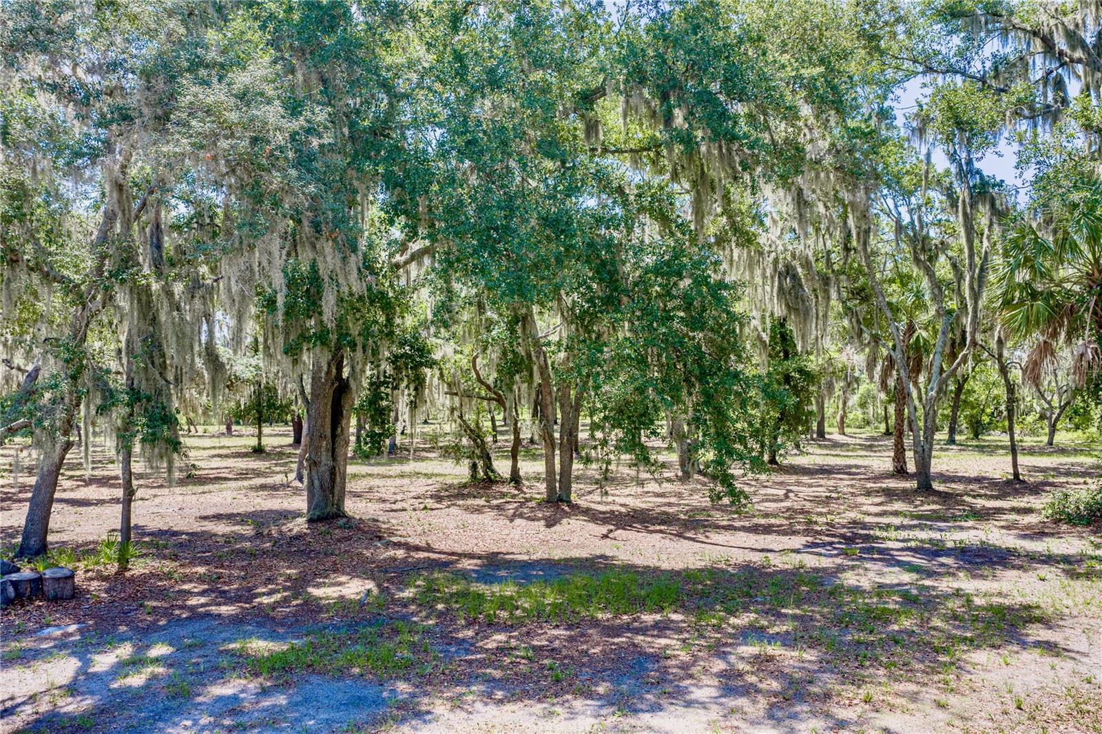 11518 HAMMOCK OAKS CT — photo 74