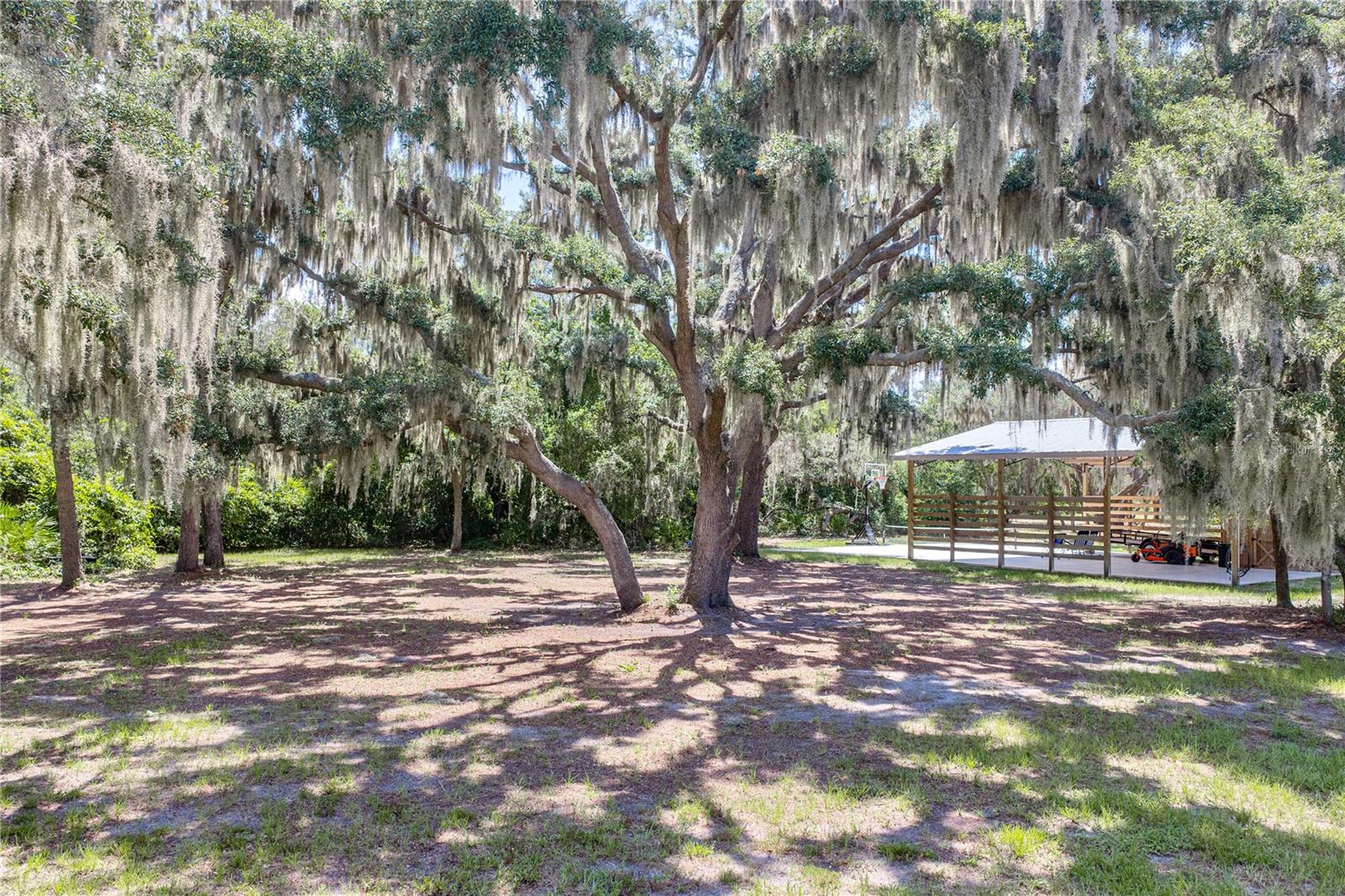 11518 HAMMOCK OAKS CT — photo 71