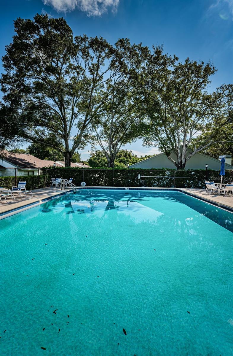 3500 MAGNOLIA RIDGE CIR #405 — photo 42