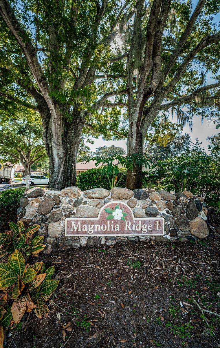 3500 MAGNOLIA RIDGE CIR #405 — photo 38