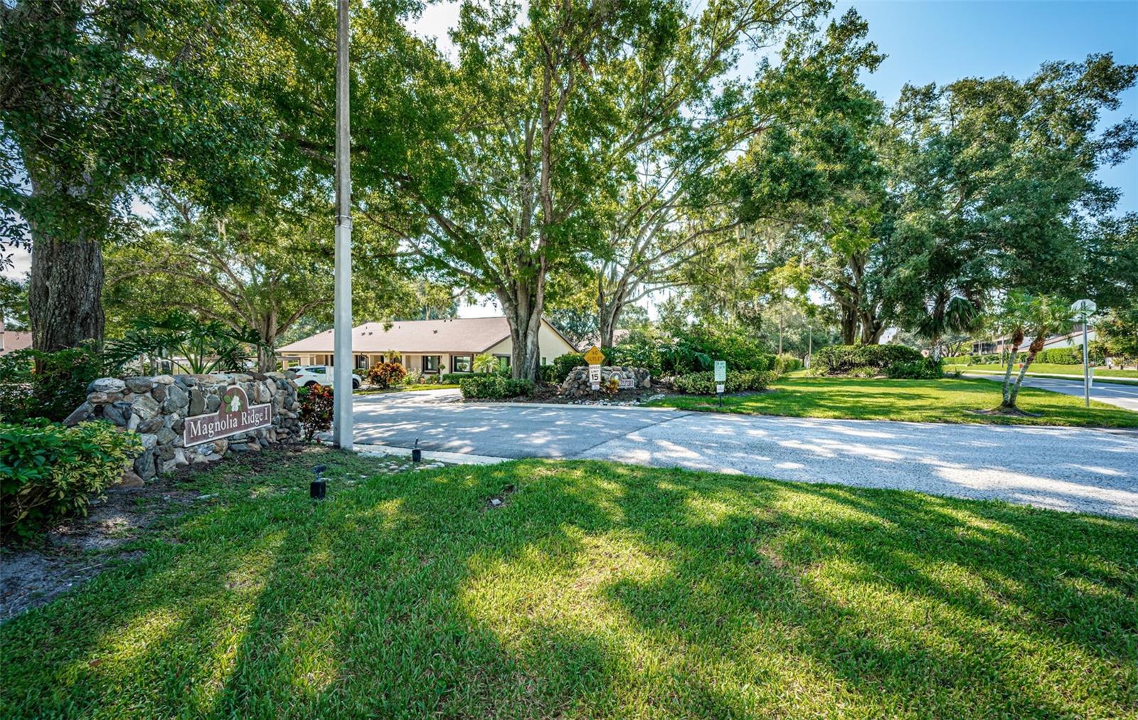 3500 MAGNOLIA RIDGE CIR #405 — photo 39
