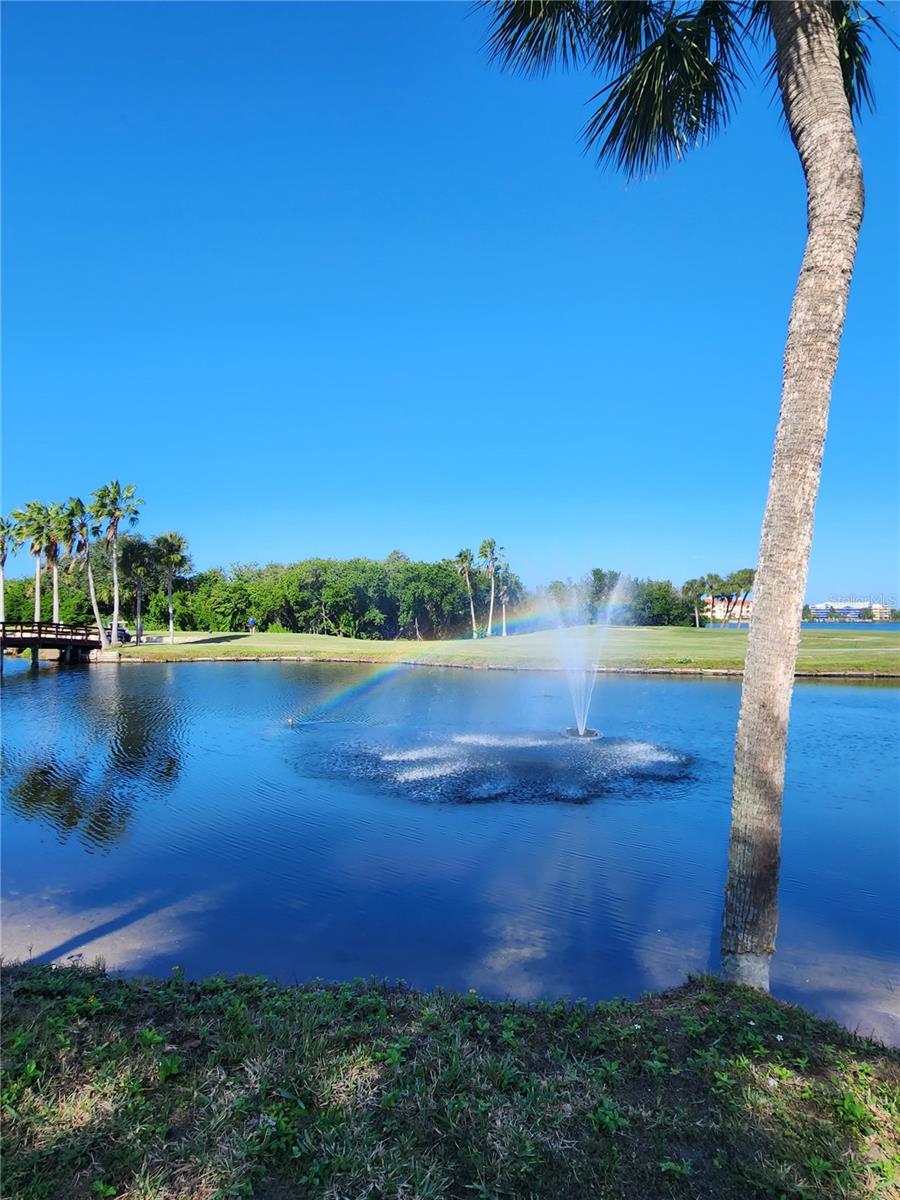 3300 COVE CAY DR #7D — photo 46