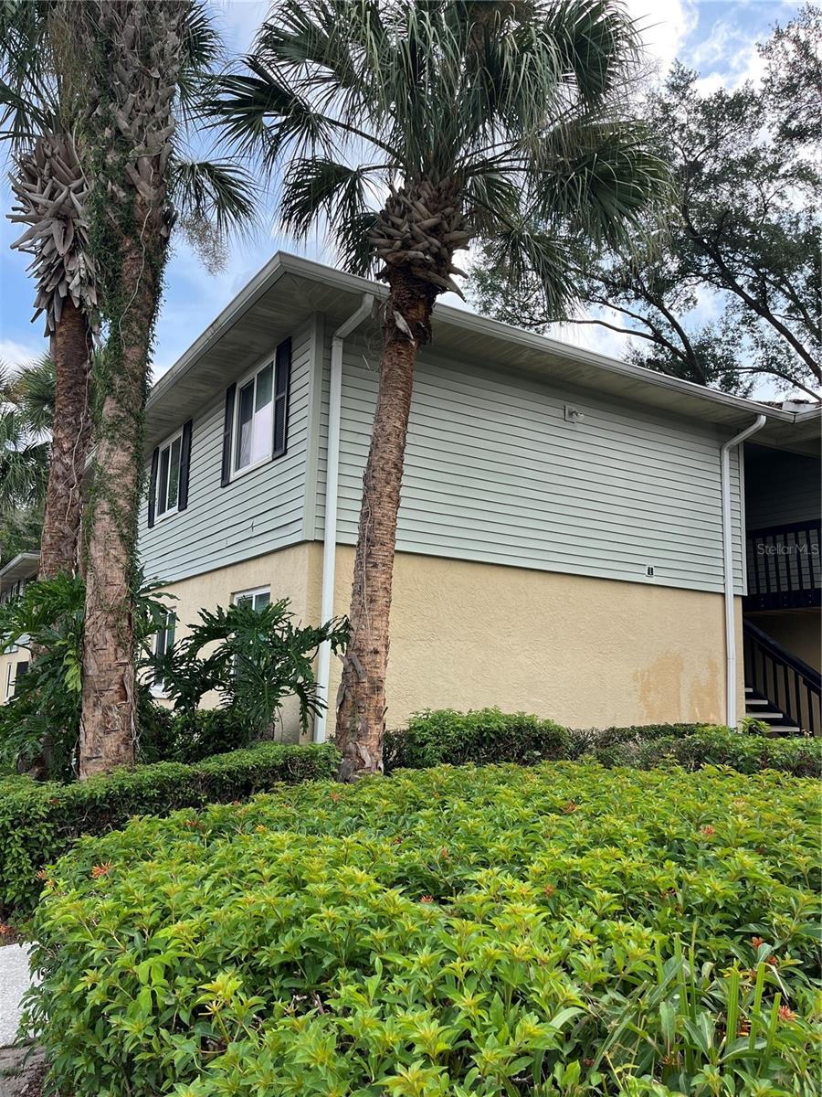 211 THORN TREE PL — photo 4