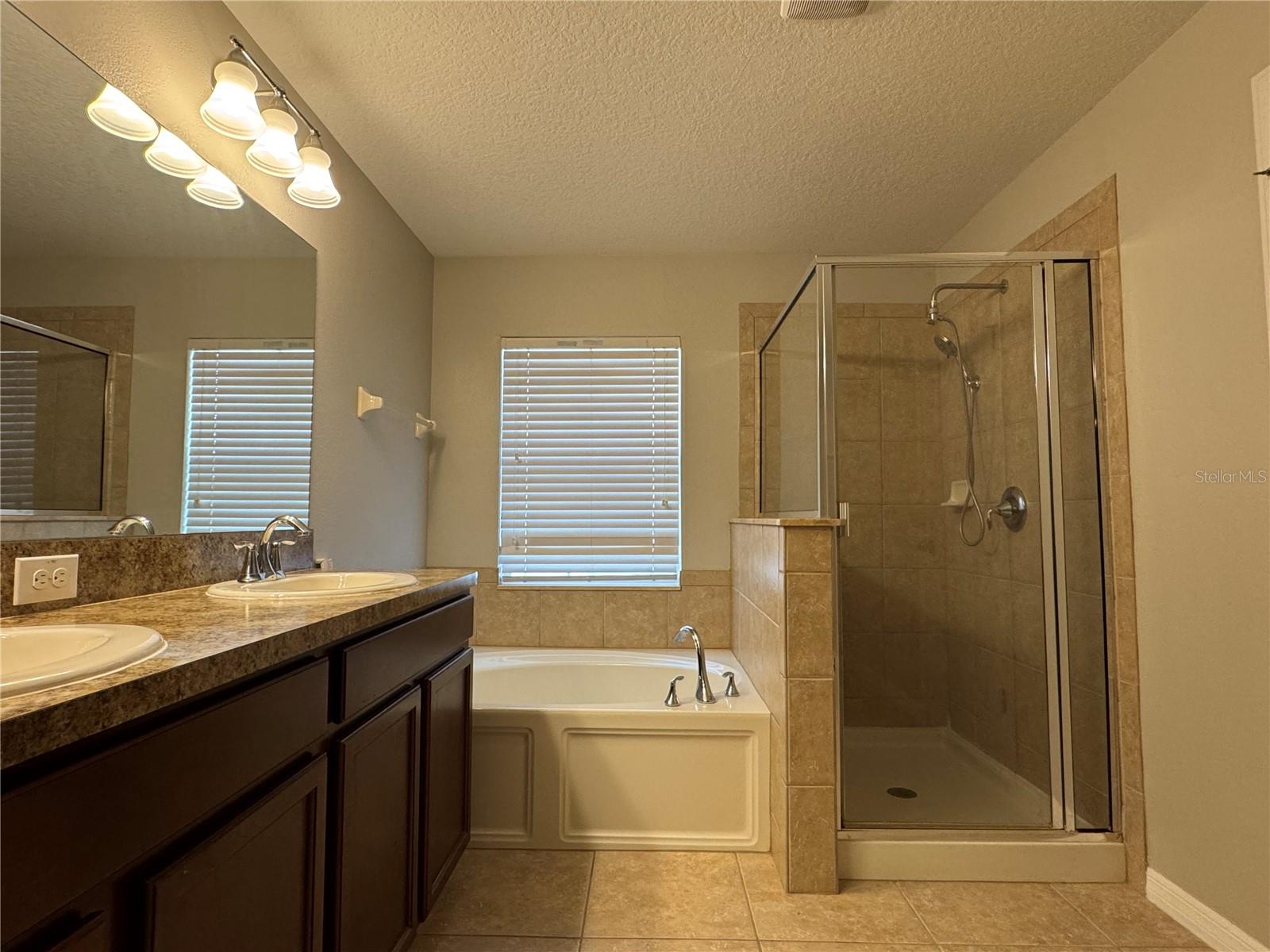 10405 SUMMER AZURE DR — photo 18