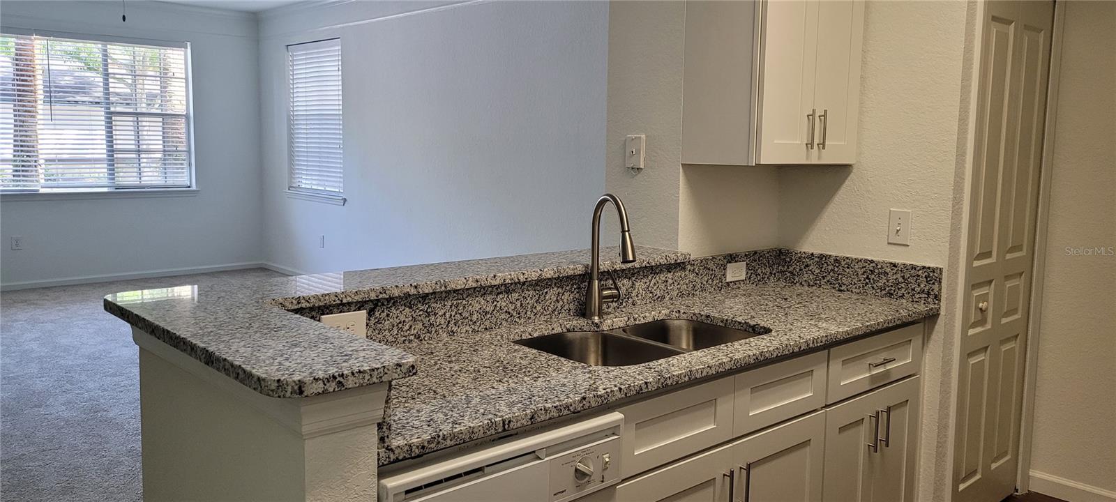 17104 CARRINGTON PARK DR #513 — photo 3