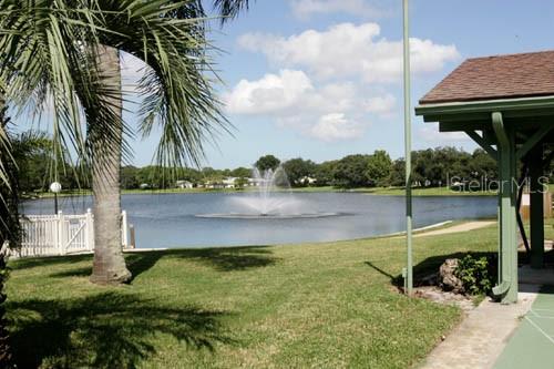 11337 VERSAILLES LN — photo 49