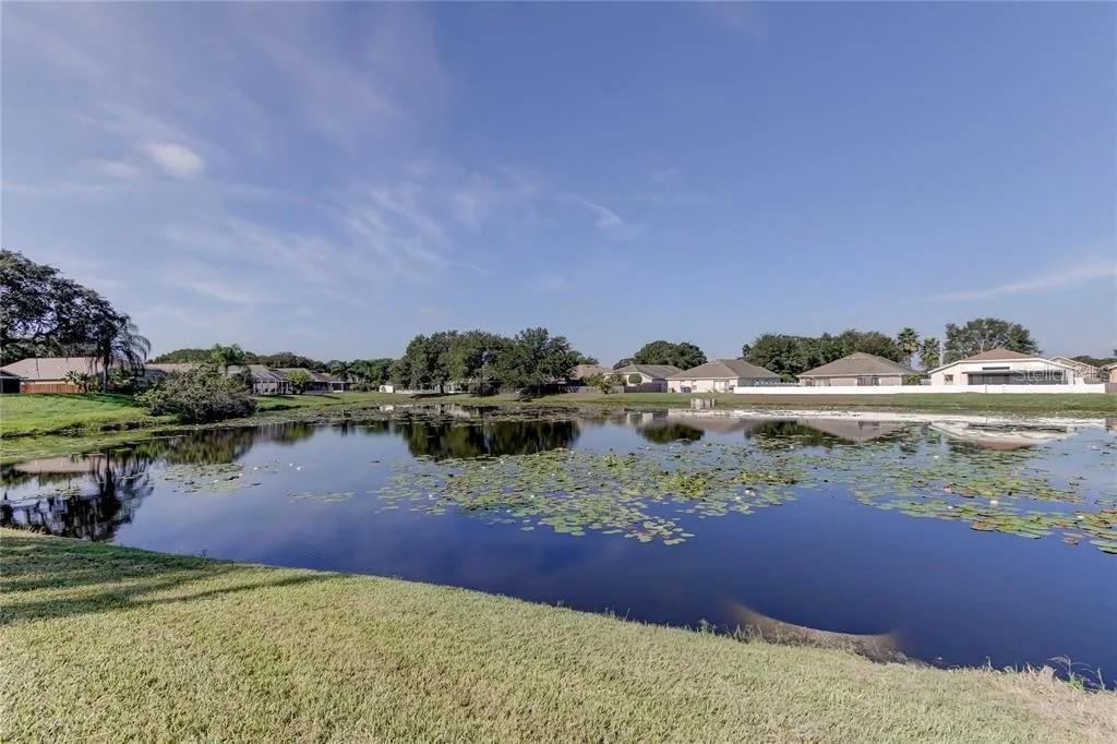 12213 RAVENS NEST PL — photo 44
