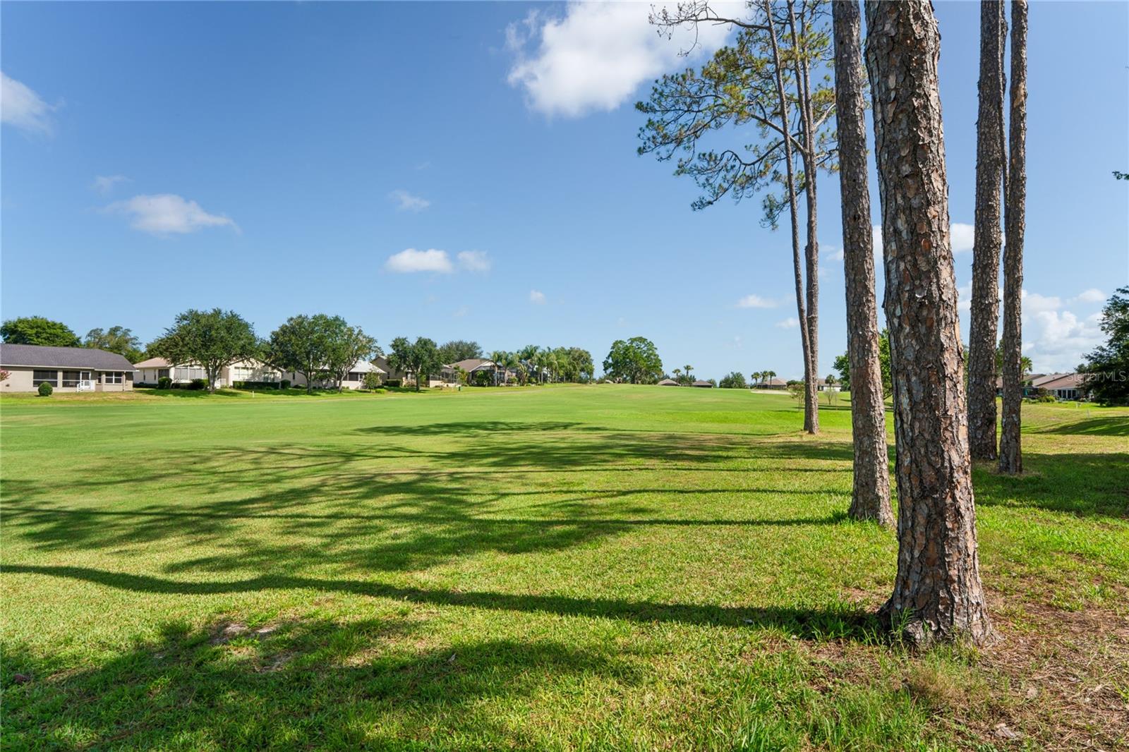18607 BENT PINE DR — photo 49