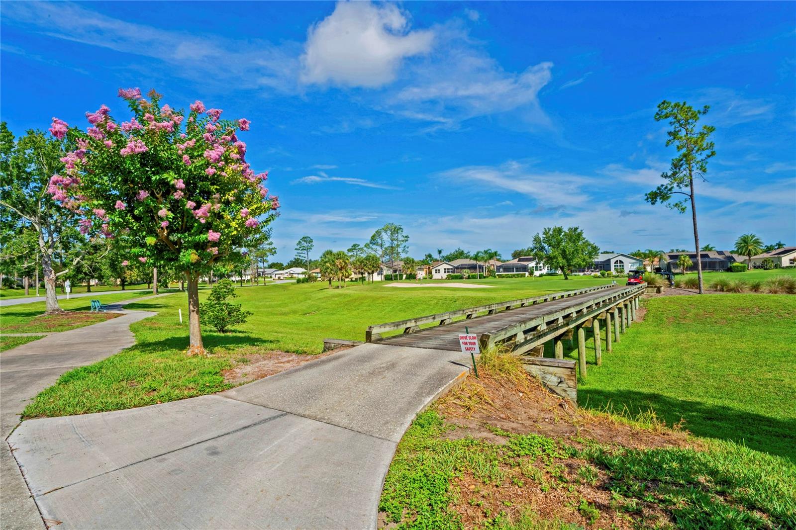 18607 BENT PINE DR — photo 83