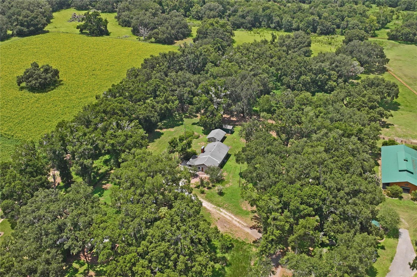 6202 STAFFORD RD — photo 46