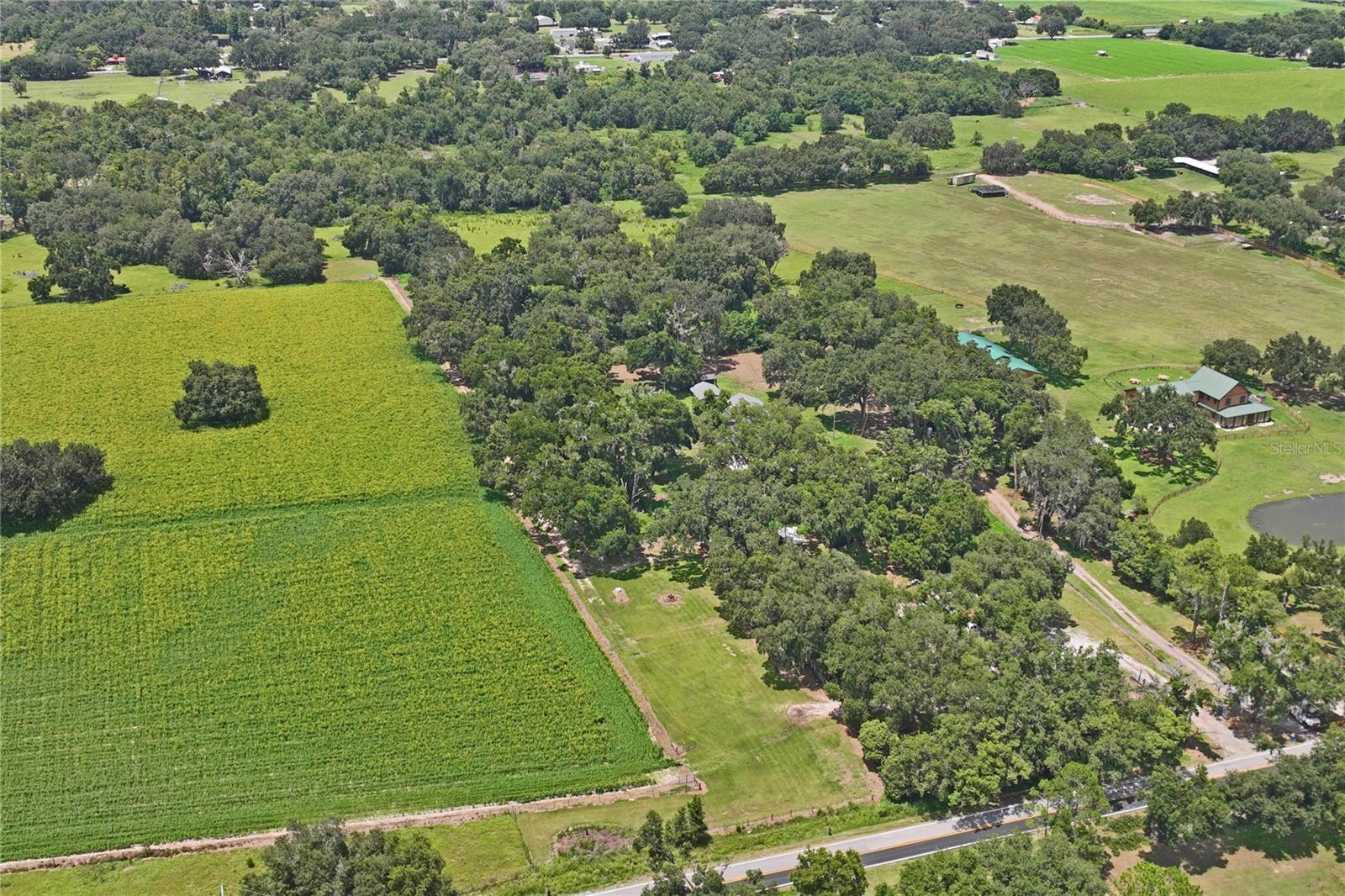 6202 STAFFORD RD — photo 53