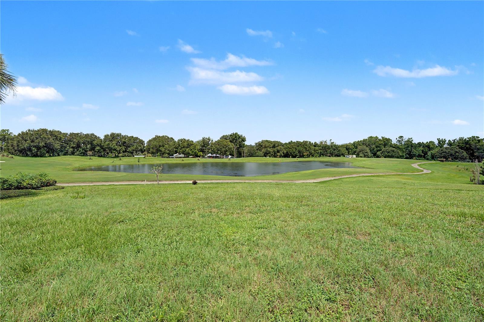 13301 THOROUGHBRED DR — photo 6
