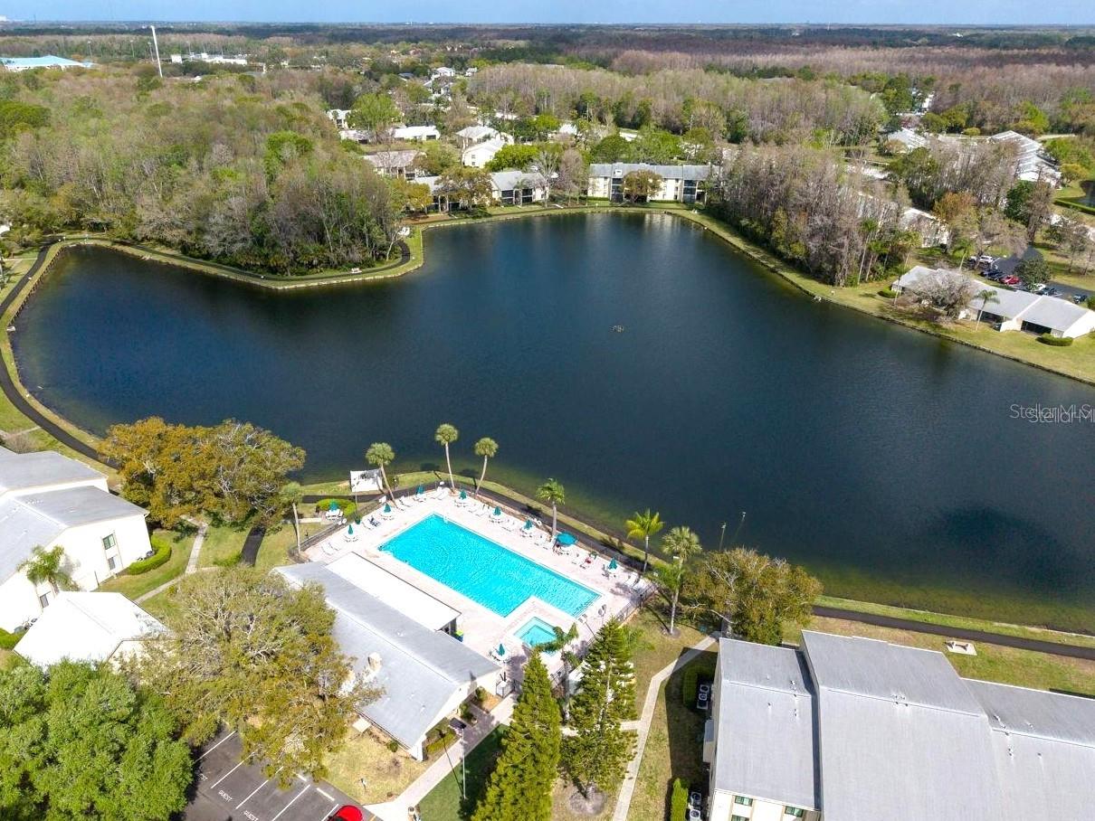 3101 LAKE PINE WAY #A1 — photo 48