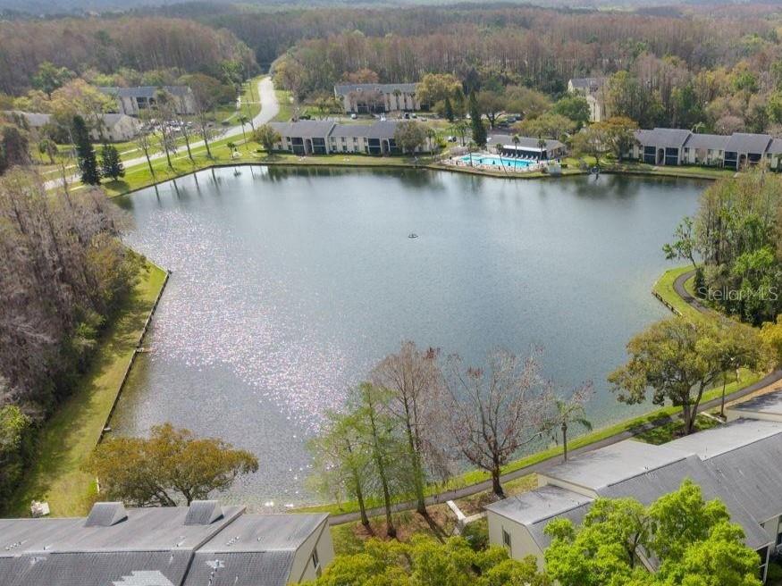 3101 LAKE PINE WAY #A1 — photo 47