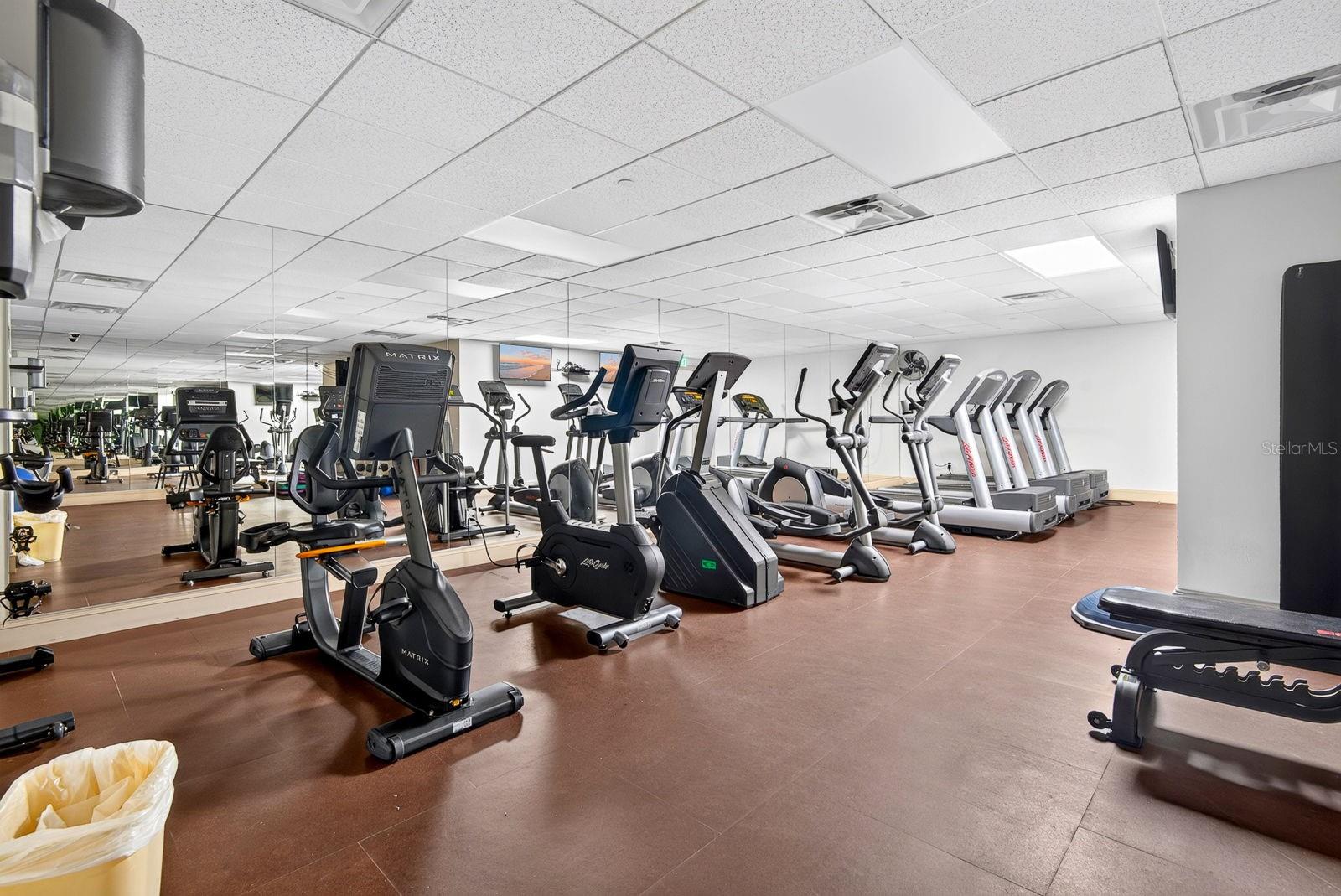345 BAYSHORE BLVD #403 — photo 40