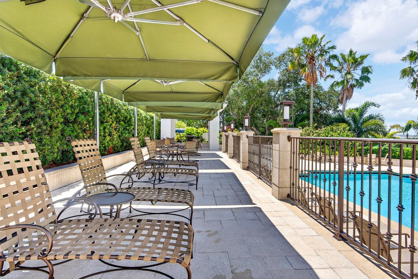 345 BAYSHORE BLVD #403 — photo 42