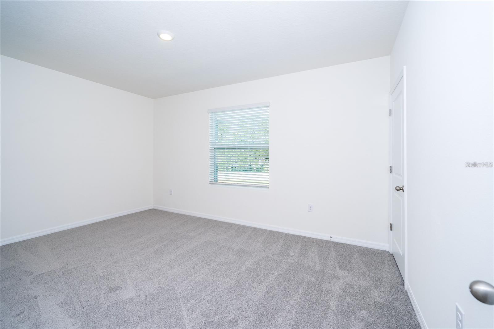 34293 SORREL MINT DR — photo 18