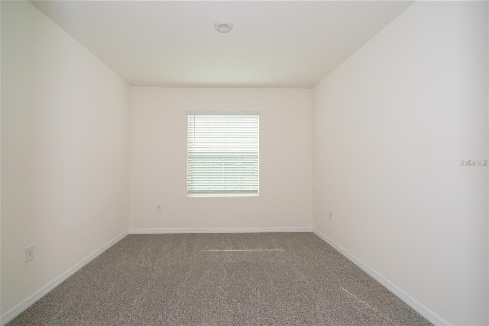 34293 SORREL MINT DR — photo 27