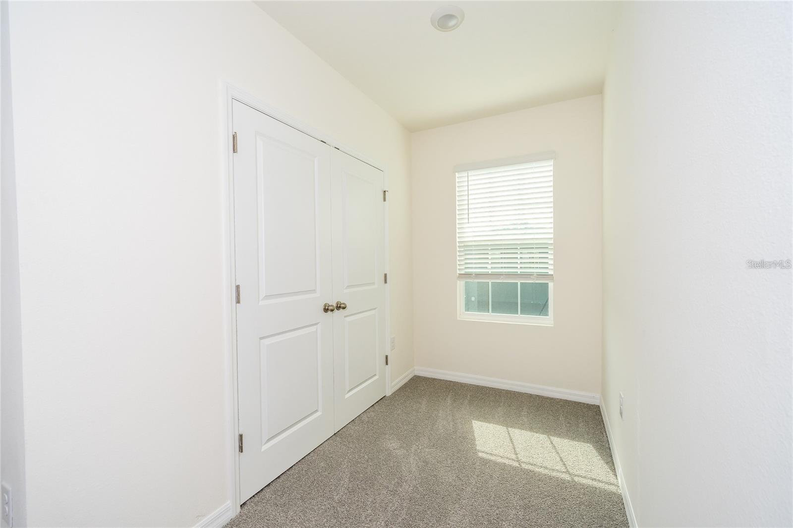 34293 SORREL MINT DR — photo 26