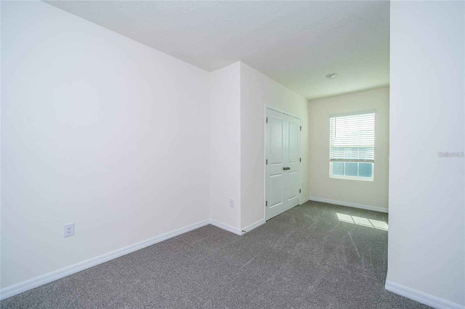 34293 SORREL MINT DR — photo 25