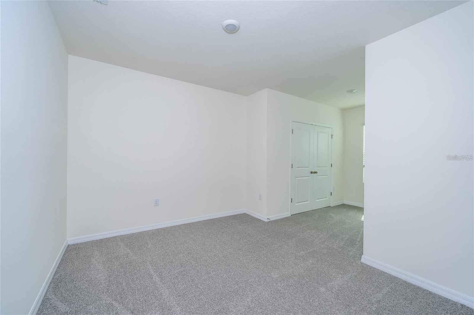 34293 SORREL MINT DR — photo 24