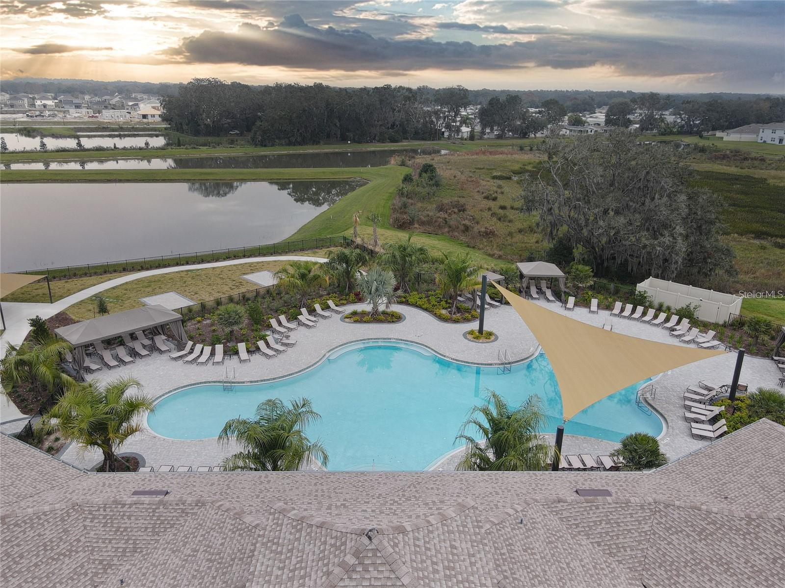 34293 SORREL MINT DR — photo 32