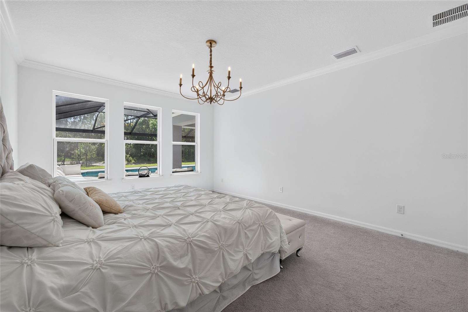33751 LANDSMAN LOOP — photo 23