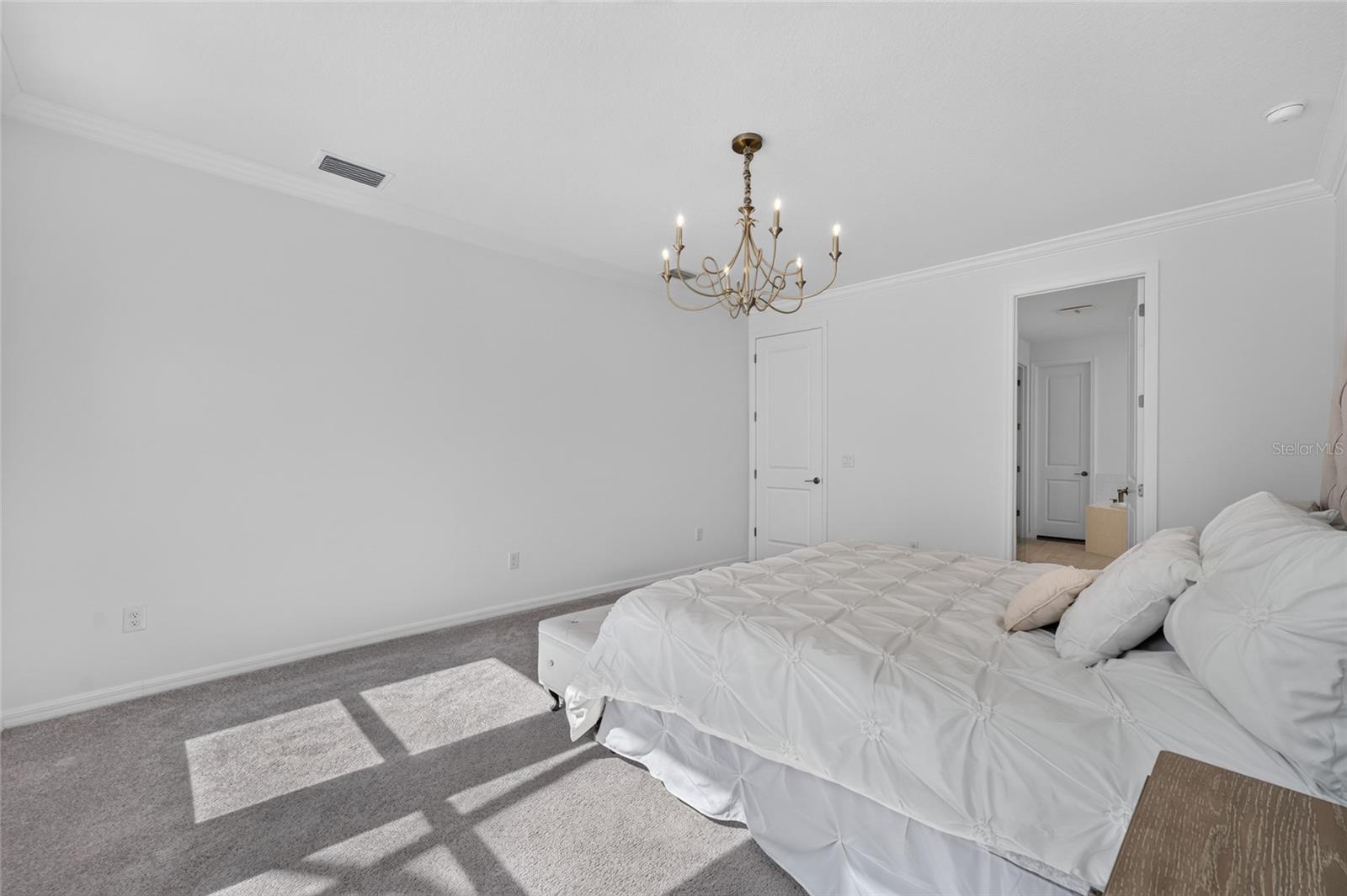 33751 LANDSMAN LOOP — photo 22