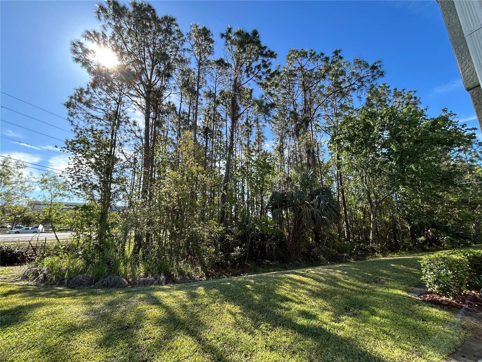 2802 BIRCHCREEK DR — photo 20