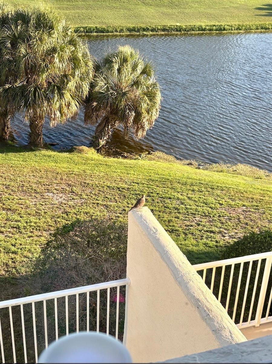 1200 COUNTRY CLUB DR #2205 — photo 34