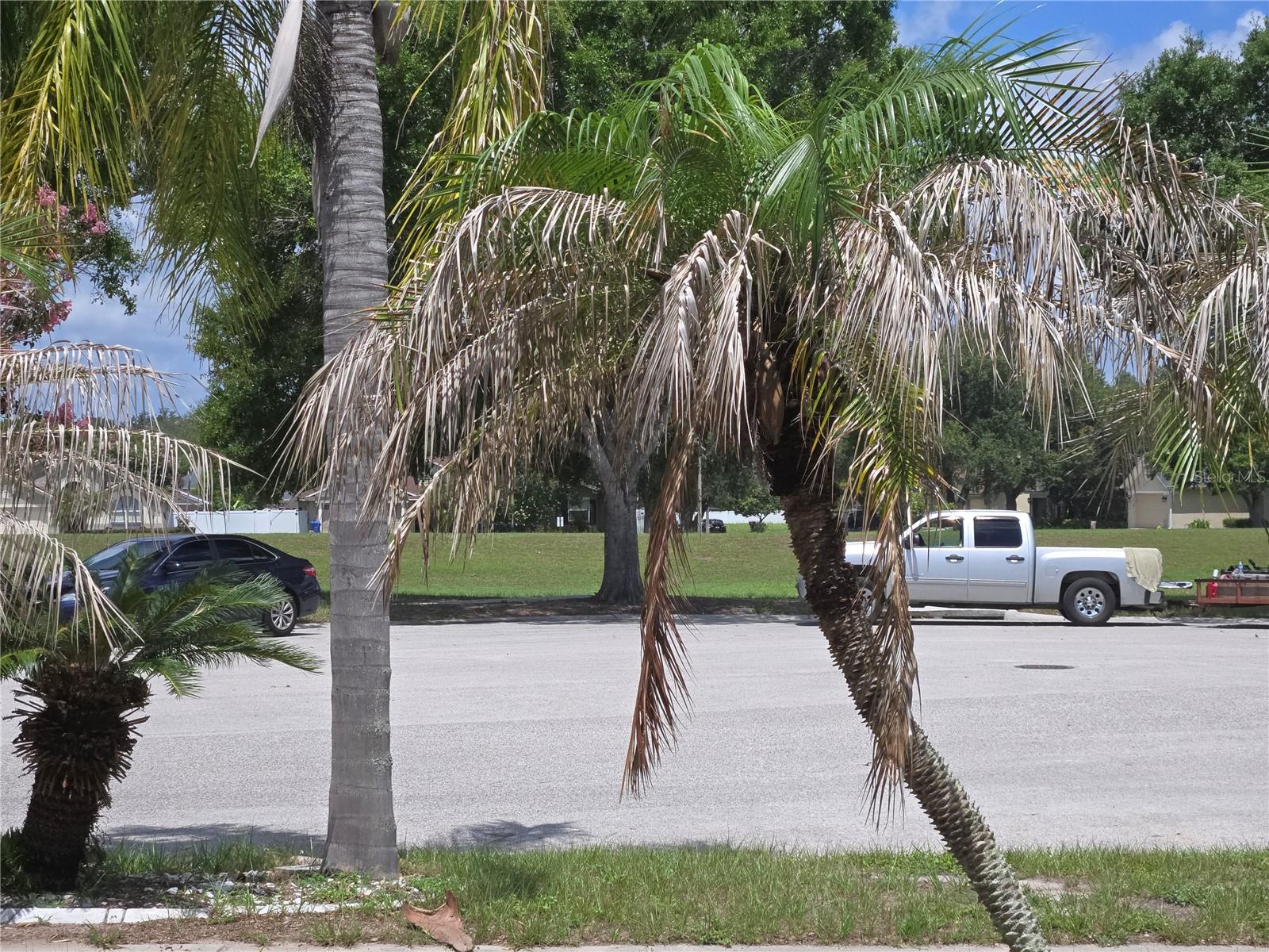 4106 BALINGTON DR — photo 3