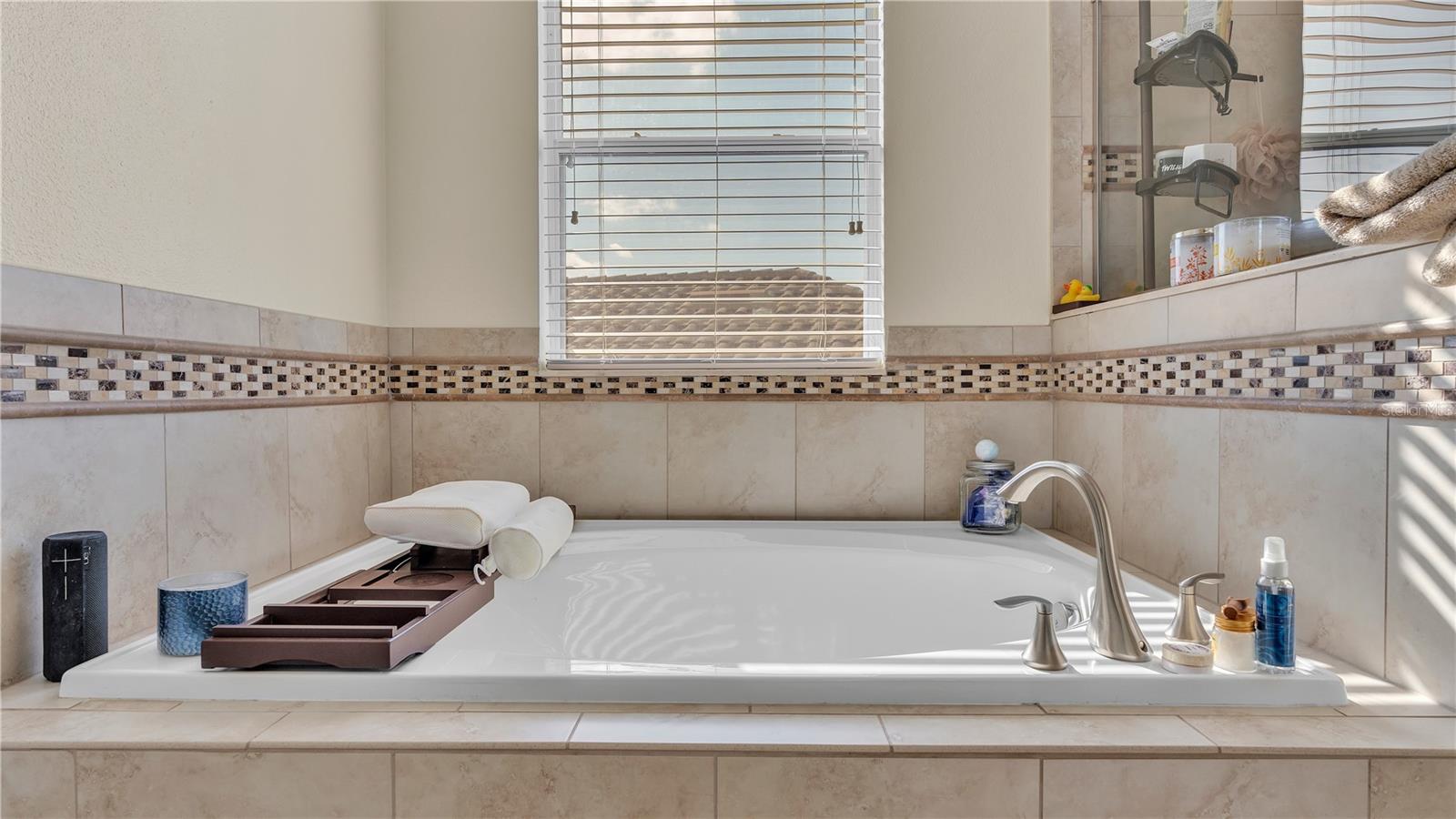 11928 FROST ASTER DR — photo 39