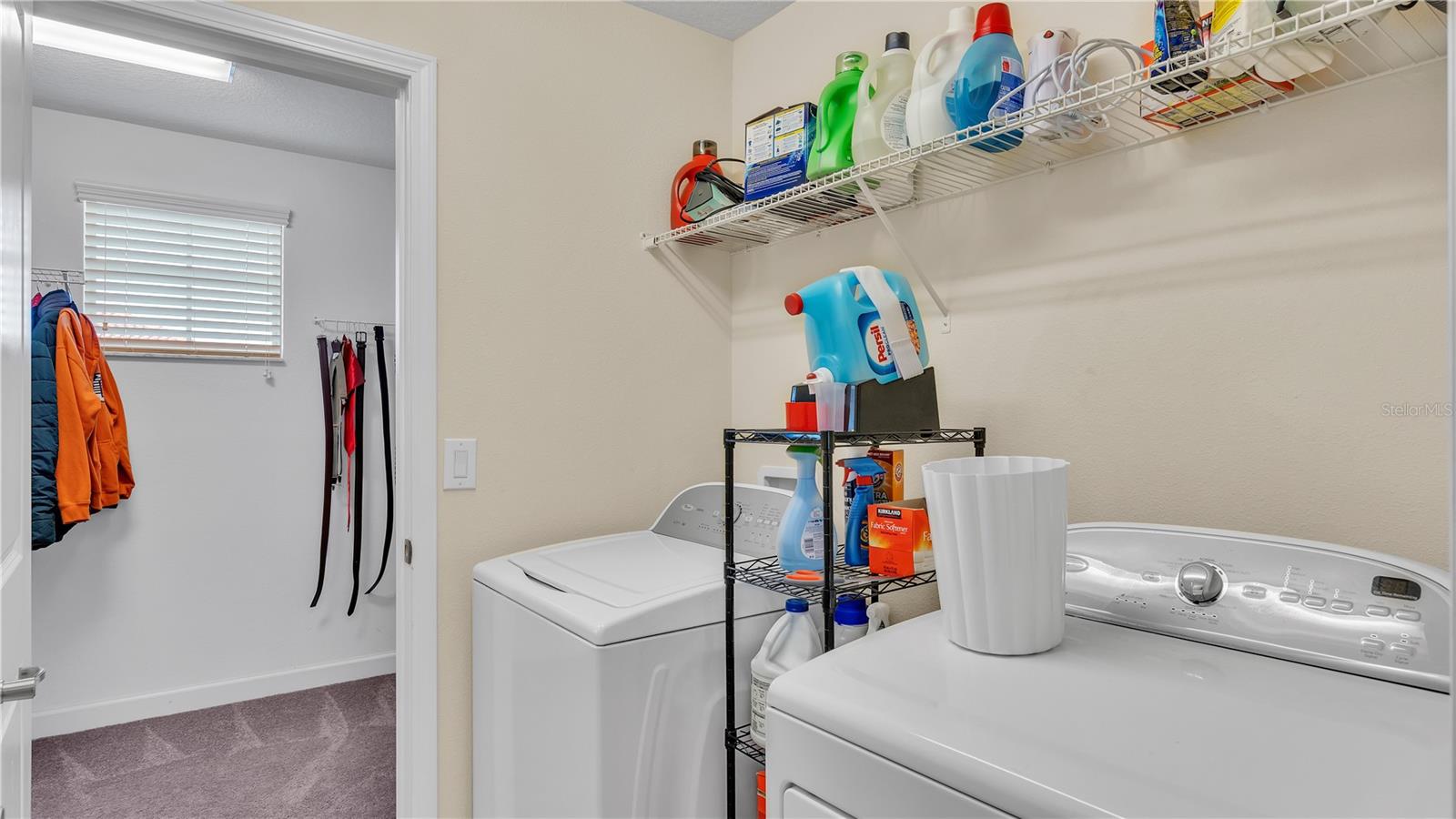 11928 FROST ASTER DR — photo 46