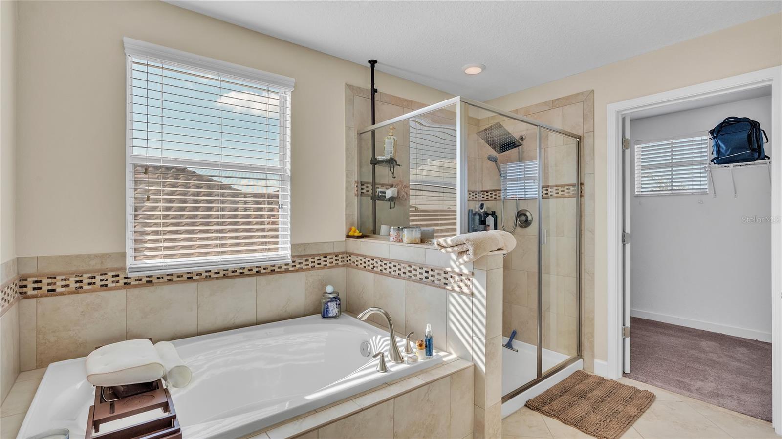 11928 FROST ASTER DR — photo 38