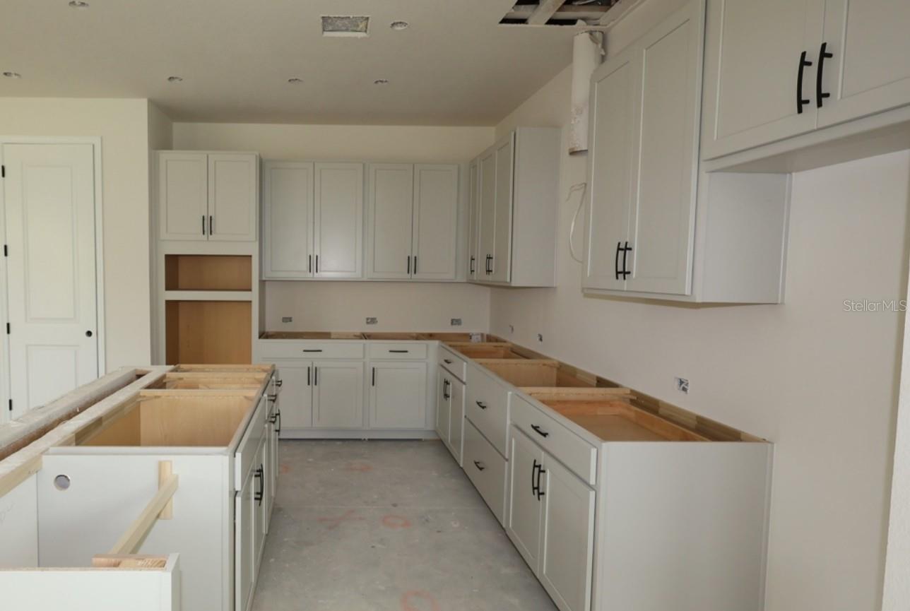 3519 YELLOW CASSIA DR — photo 8