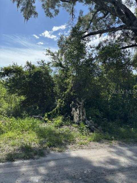 7157 GLORY RD — photo 5