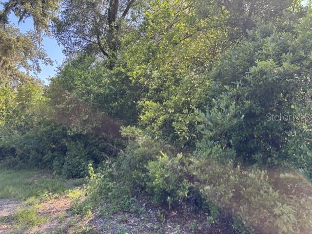 7157 GLORY RD — photo 6
