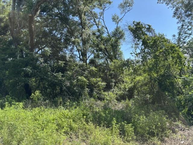 7157 GLORY RD — photo 3