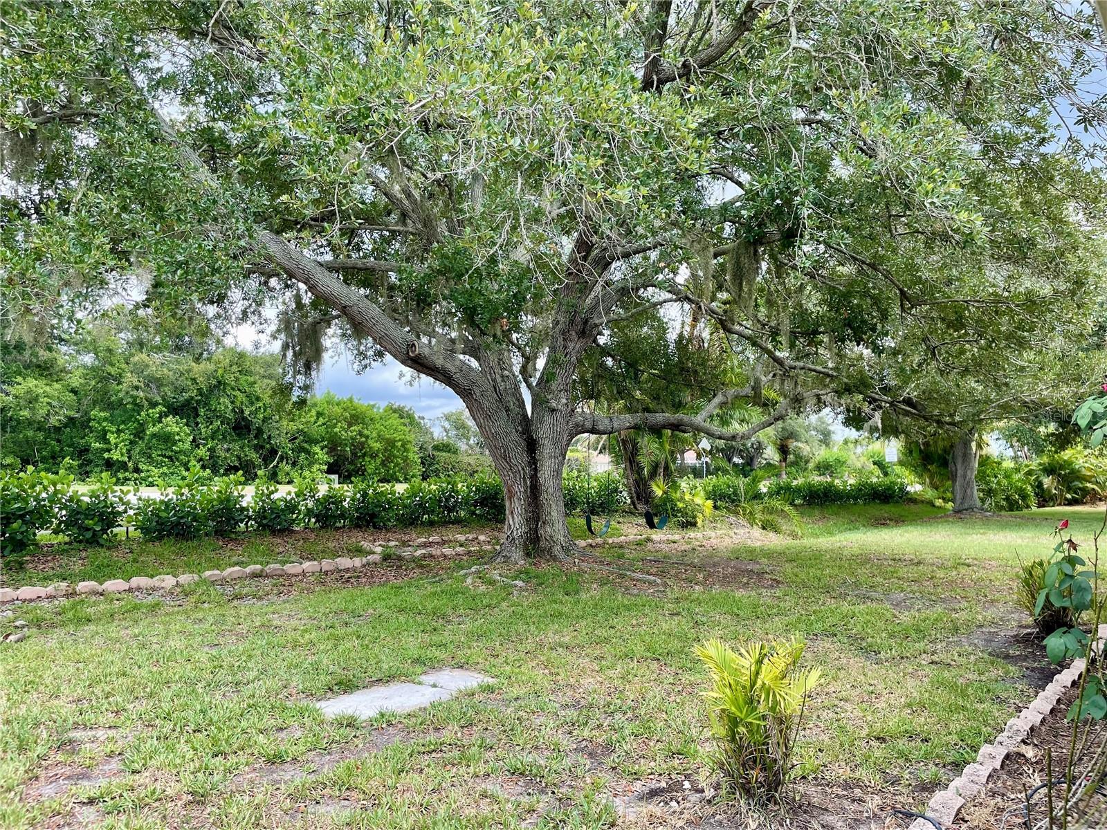 6813 WINSLOW ST — photo 19