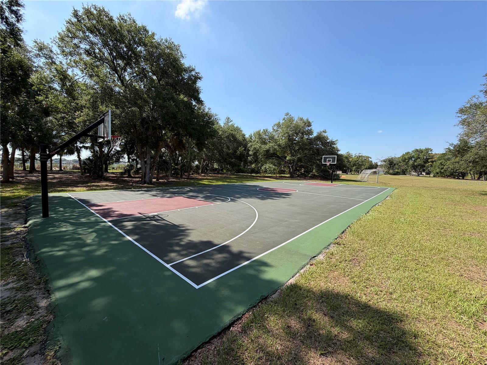 7016 JAMESTOWN MANOR DR — photo 58