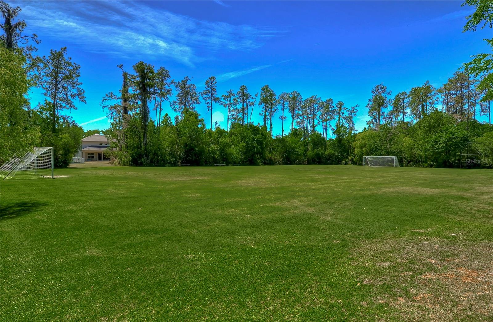 3332 CHAPEL CREEK CIR — photo 80