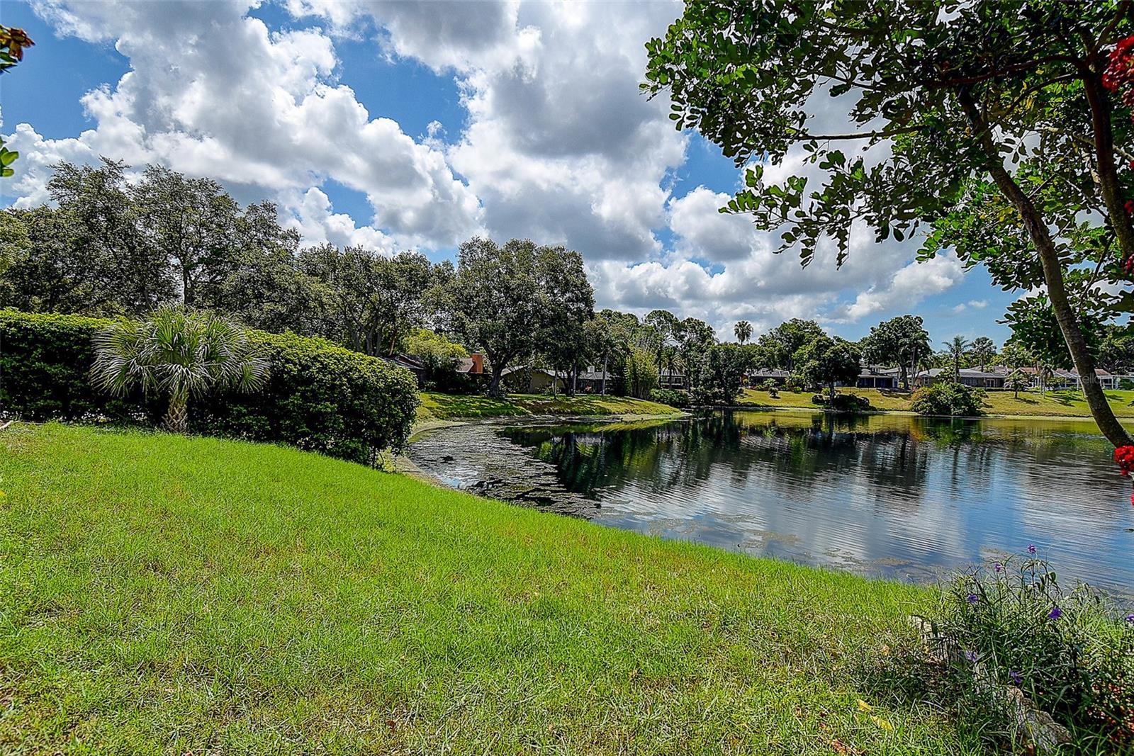 2876 LAKE VALENCIA BLVD E — photo 45