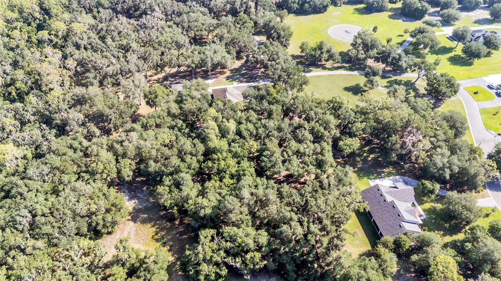 6923 ORIANNA OAKS DR — photo 18