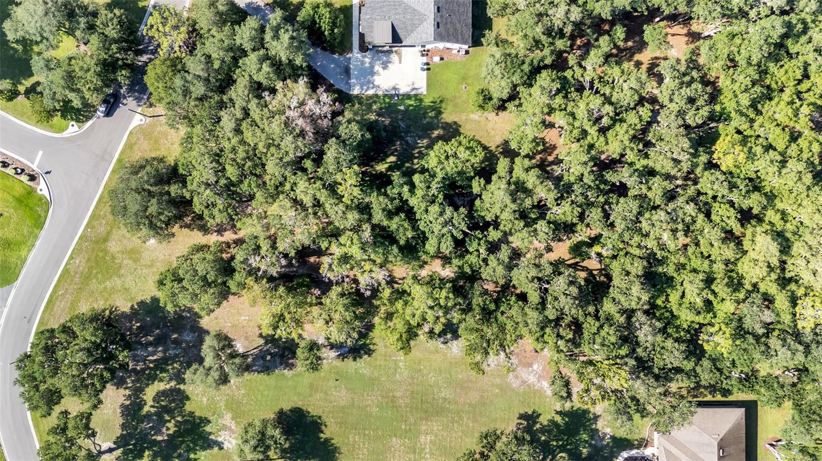 6923 ORIANNA OAKS DR — photo 13