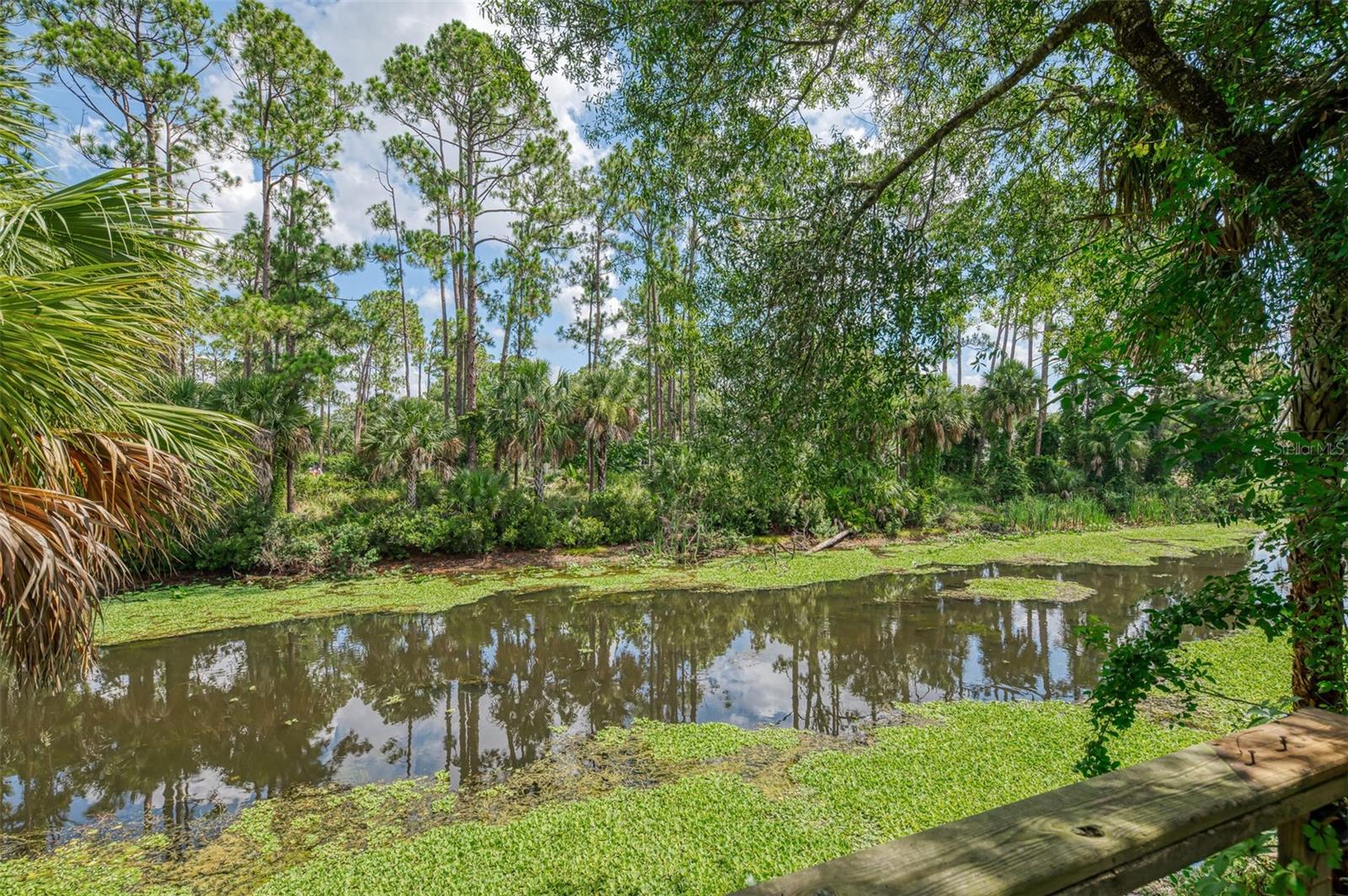 3706 SLAYTON AVE — photo 41