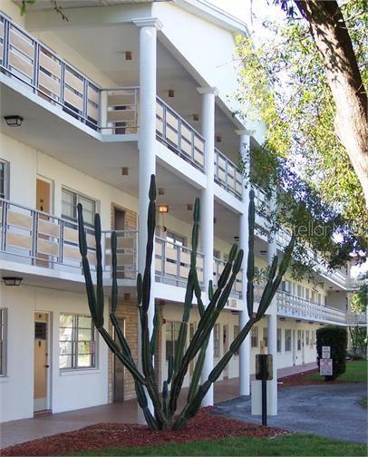 911 WASHINGTON AVE #305 — photo 13