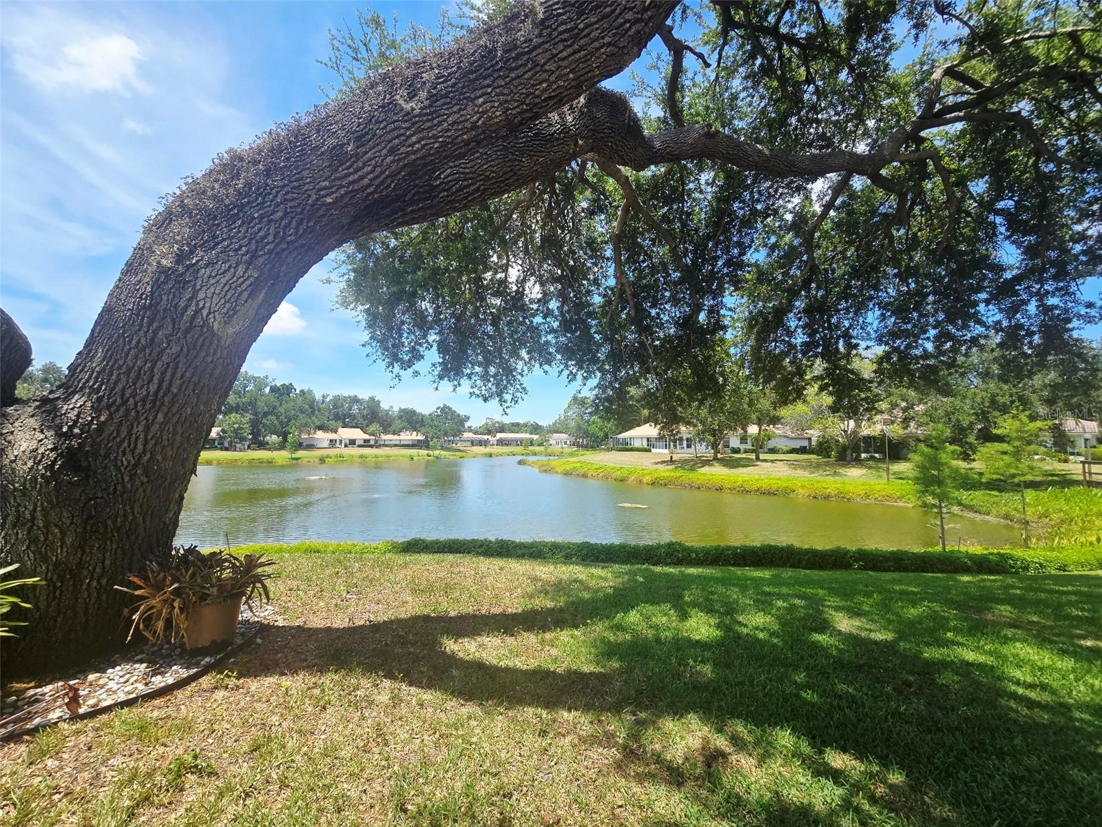 5808 GARDEN LAKES DR — photo 5